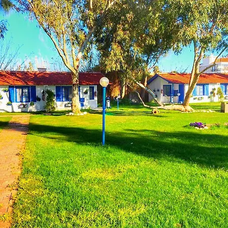 Mavi Zeytin Butik B&B 세페리히사르