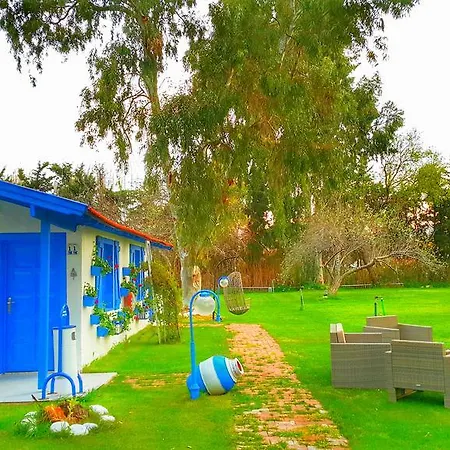 Mavi Zeytin Butik B&B *