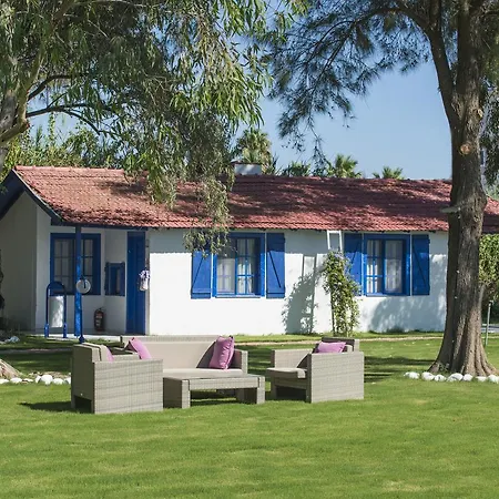 Mavi Zeytin Butik B&B
