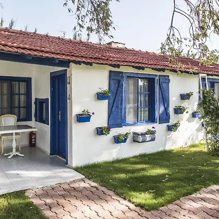B&B Mavi Zeytin Butik 세페리히사르