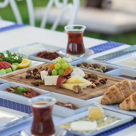 Mavi Zeytin Butik B&B *