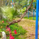 Mavi Zeytin Butik