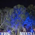 B&B Mavi Zeytin Butik Seferihisar