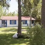 Mavi Zeytin Butik Seferihisar