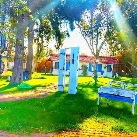 Oda ve Kahvaltı Mavi Zeytin Butik *