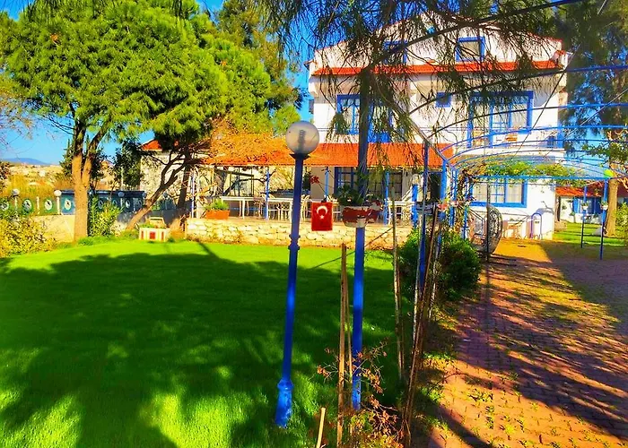 Mavi Zeytin Butik سفيريهيسار