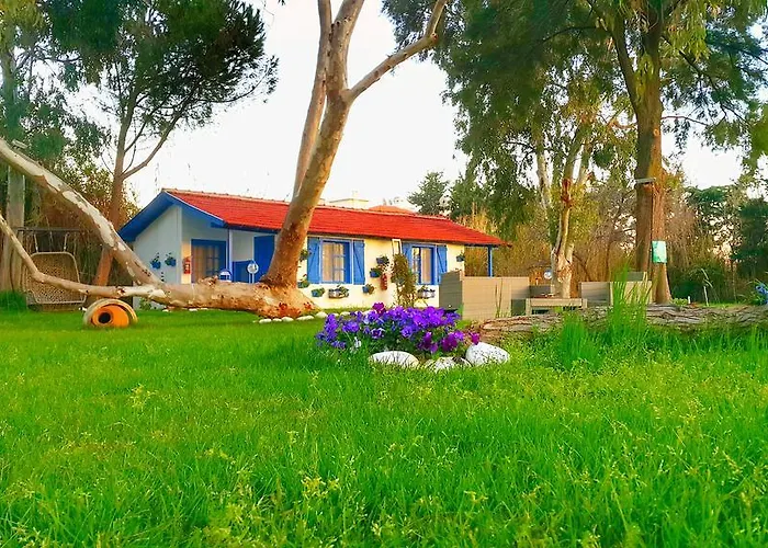 Mavi Zeytin Butik * سفيريهيسار