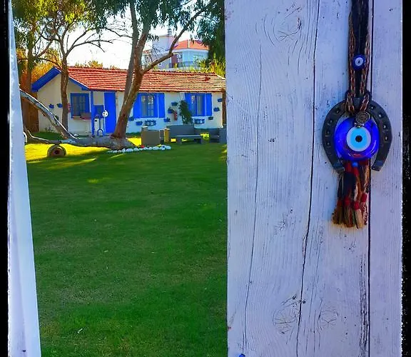 Mavi Zeytin Butik *