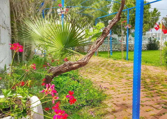 Mavi Zeytin Butik