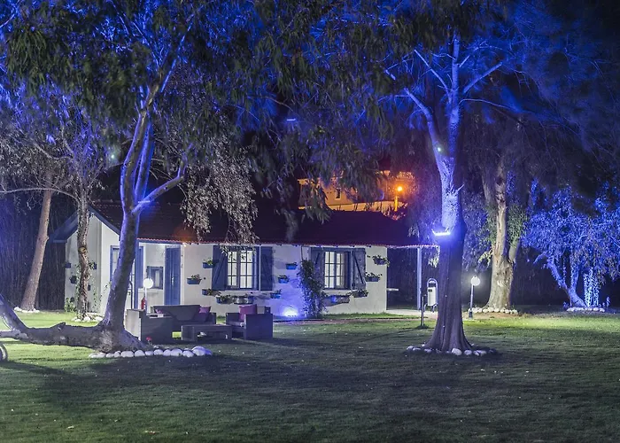 Mavi Zeytin Butik سفيريهيسار