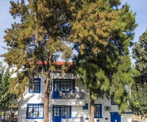 Mavi Zeytin Butik سفيريهيسار