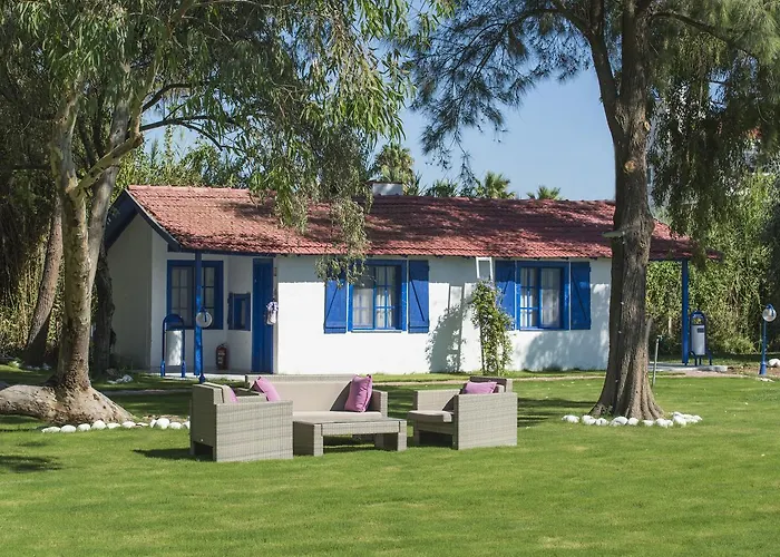 Mavi Zeytin Butik فندق مبيت وإفطار