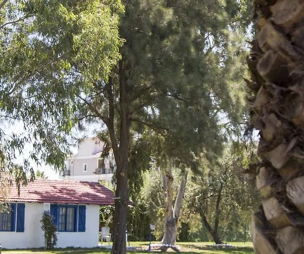 Mavi Zeytin Butik فندق مبيت وإفطار *