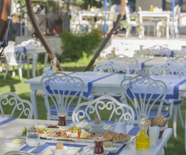 Mavi Zeytin Butik * سفيريهيسار